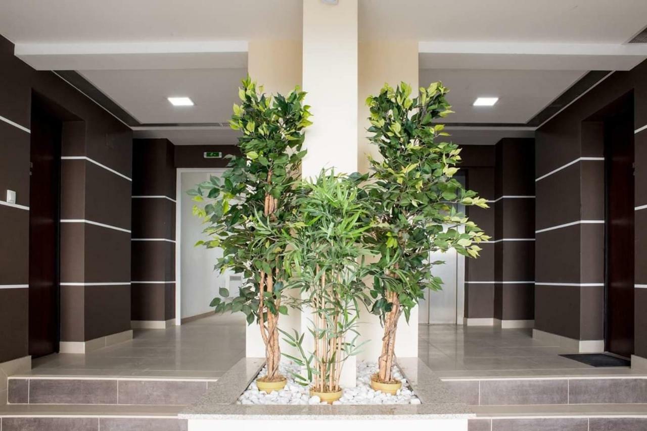 Suite Life Braşov Extérieur photo